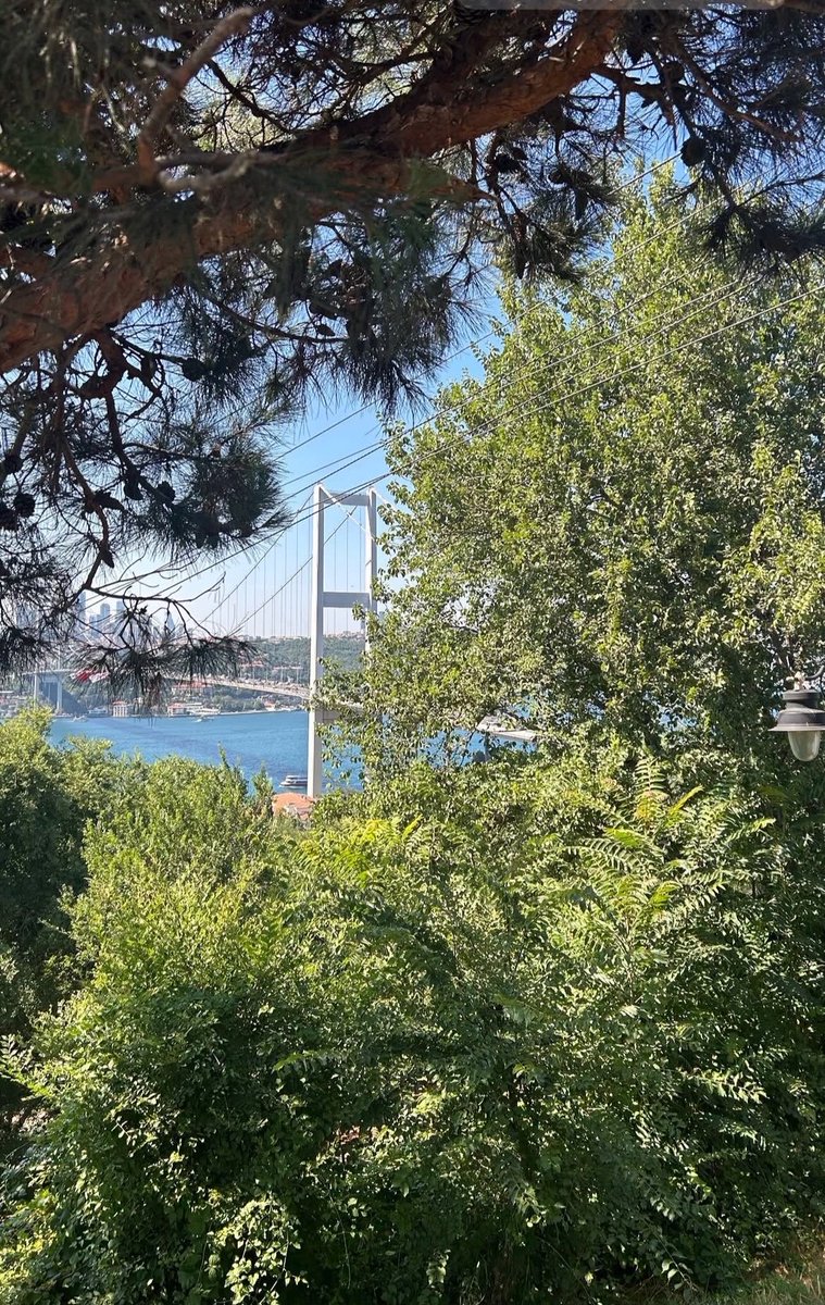 Cinbomlu1's tweet photo. Bunu kim yaptıysa tamir etsin
AÇAMIYORUUUUUMMMM https://t.co/d3mODoR31u