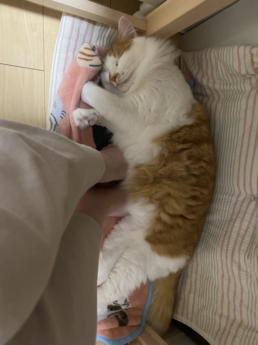仕事切り上げてご飯つーくろって思った時