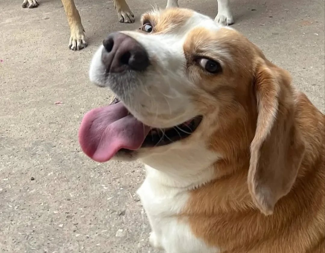 BigEnstorial's tweet photo. @lesbocine Pior que a Gen tentou devolver horrores KKKKKKK 
Minha filha foi forte. https://t.co/X5EMuogKqO