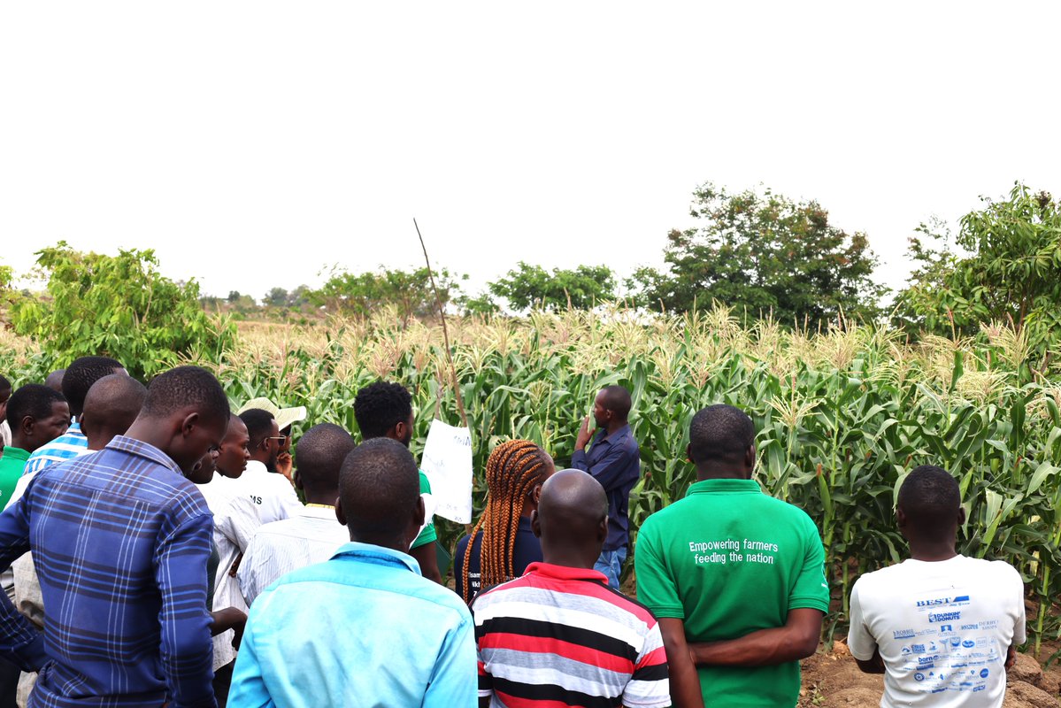 Concern Worldwide Malawi tweet media