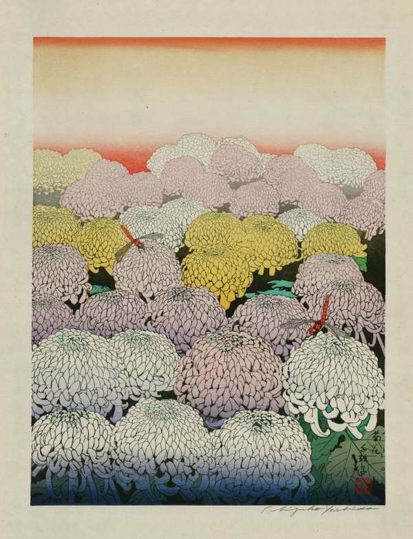 吉田千鶴子 － 菊花 Yoshida chizuko #art #新版画 #shin_hanga #吉田