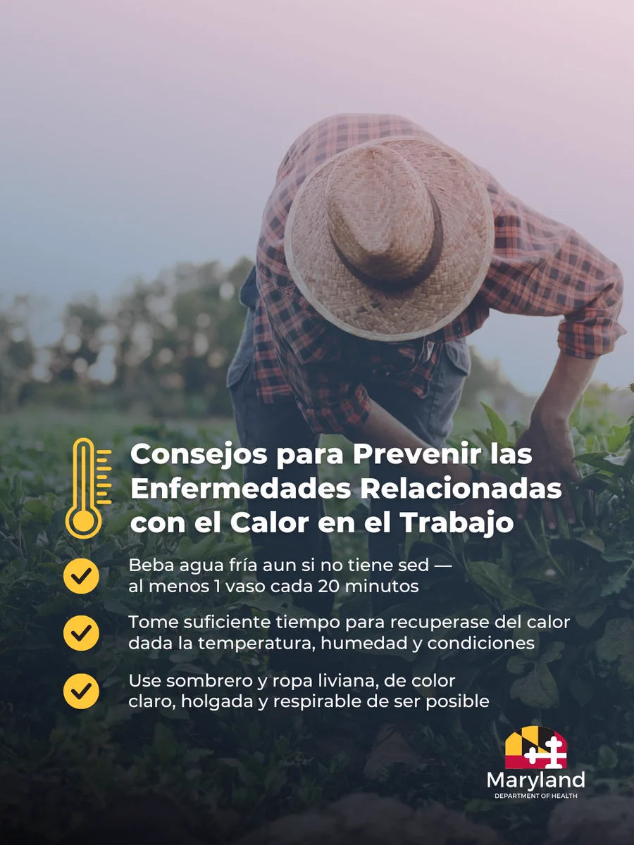 Consejos para Prevenir las Enfermedades Relacionadas con el Calor en el Trabajo. Beba agua fría aun si no tiene sed — al menos 1 vaso cada 20 minutos. Tome suficiente tiempo para recuperase del calor dada la temperatura, humedad y condiciones. Use sombrero y ropa liviana, de color claro, holgada y respirable de ser posible.