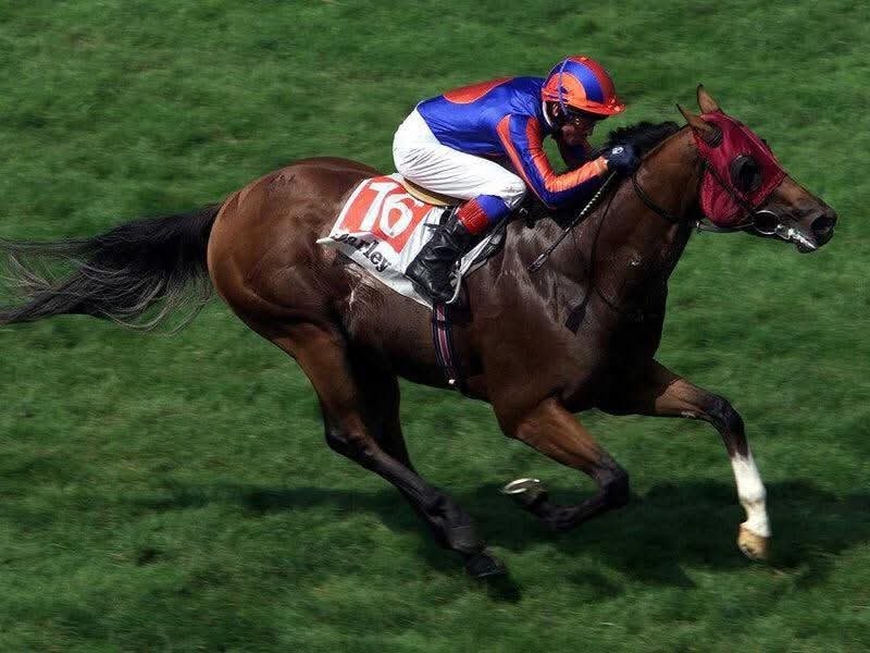 HORSERACING1002's tweet photo. STRAVINSKY (USA)  1996
(NUREYEV - FIRE THE GROOM BY BLUSHING GROOM) https://t.co/dNgAJ4vjDy