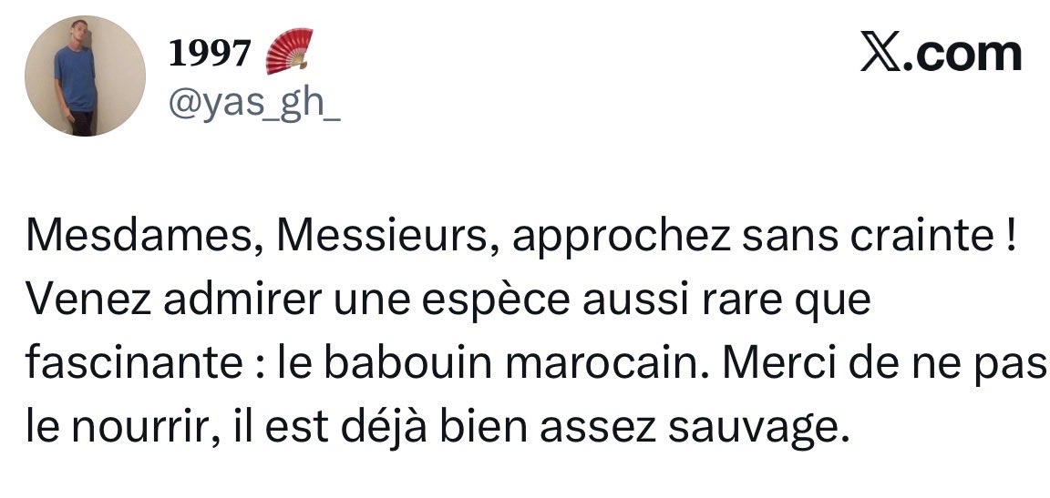 Hassan H 🇫🇷🇲🇦 tweet media