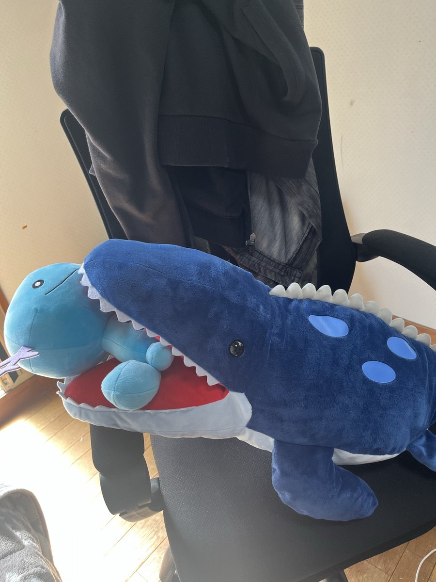 iori30682's tweet photo. @TASshiroko @bee_belias うちのモササウルス(サメと思い込んでクレーンゲームでお出迎え)は、ウパーŧ‹"ŧ‹"しています。 https://t.co/jDNS70oHN2
