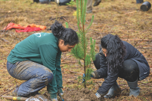 CloringaCats's tweet photo. Plant a tree with us! https://t.co/zXwCZnB2te