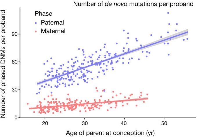 DaizyZeeX's tweet photo. If a man becomes a father at 30, the baby will have 50% more paternal mutations than if he had done it at 18... https://t.co/j4PiBKHkke