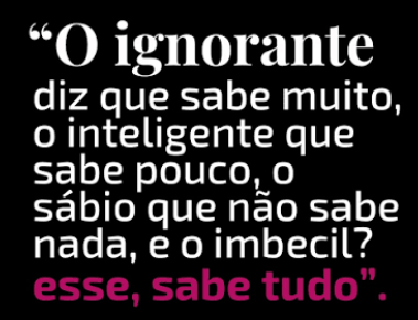 Capirotozt's tweet photo. @BolhaDevs https://t.co/XjcziawlUp