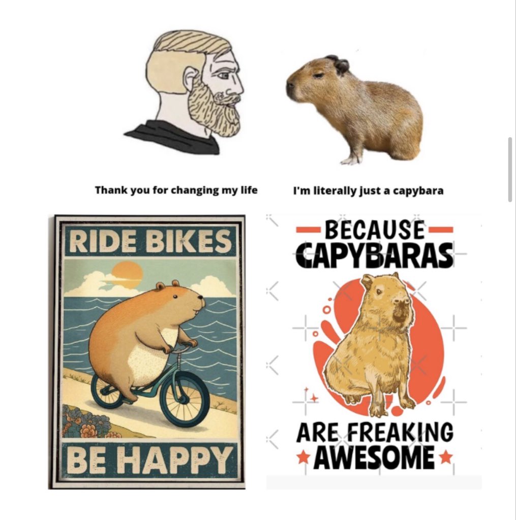 X0AI_SHIB's tweet photo. Yesterday it was “just another meme.”

Today everyone is asking:

“Wait… this is the official Blockscout mascot?” 🦫

The narrative is spreading.
The market is paying attention.

$CAPYBARA

0x6f8506a3aa9ea9706fd958e9a70280cfd4a789a8
@Capybarahood @blockscout @RobinhoodApp @ponsdotfamily 

DYOR