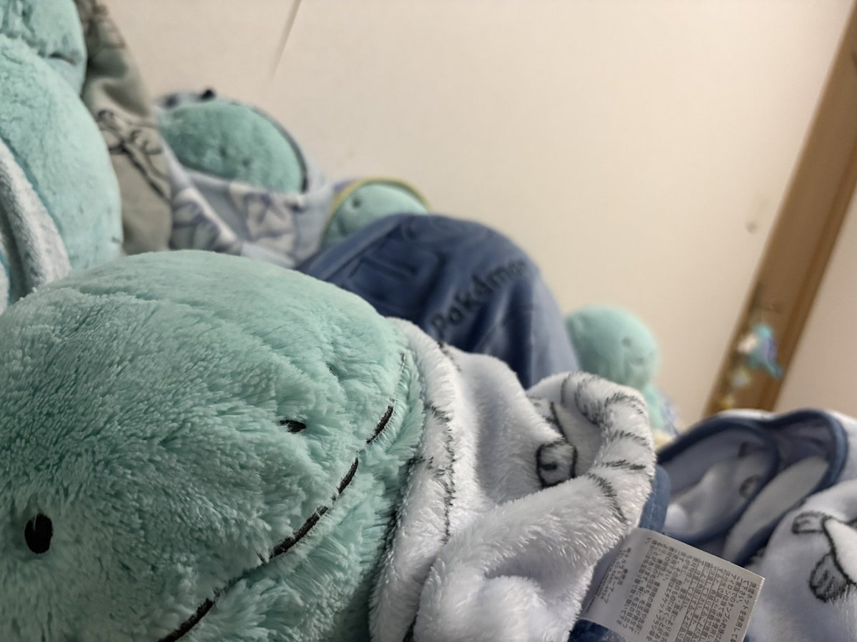 nuo_tane's tweet photo. 全くぬおがいないと寝れないぬね
仕方ないぬねぬおは心優しいポケモンだぬから一緒に寝てあげるぬ https://t.co/0AZTcb3KiG