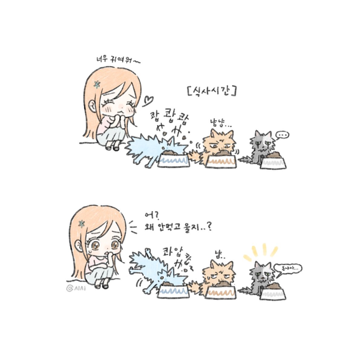 시시 tweet media