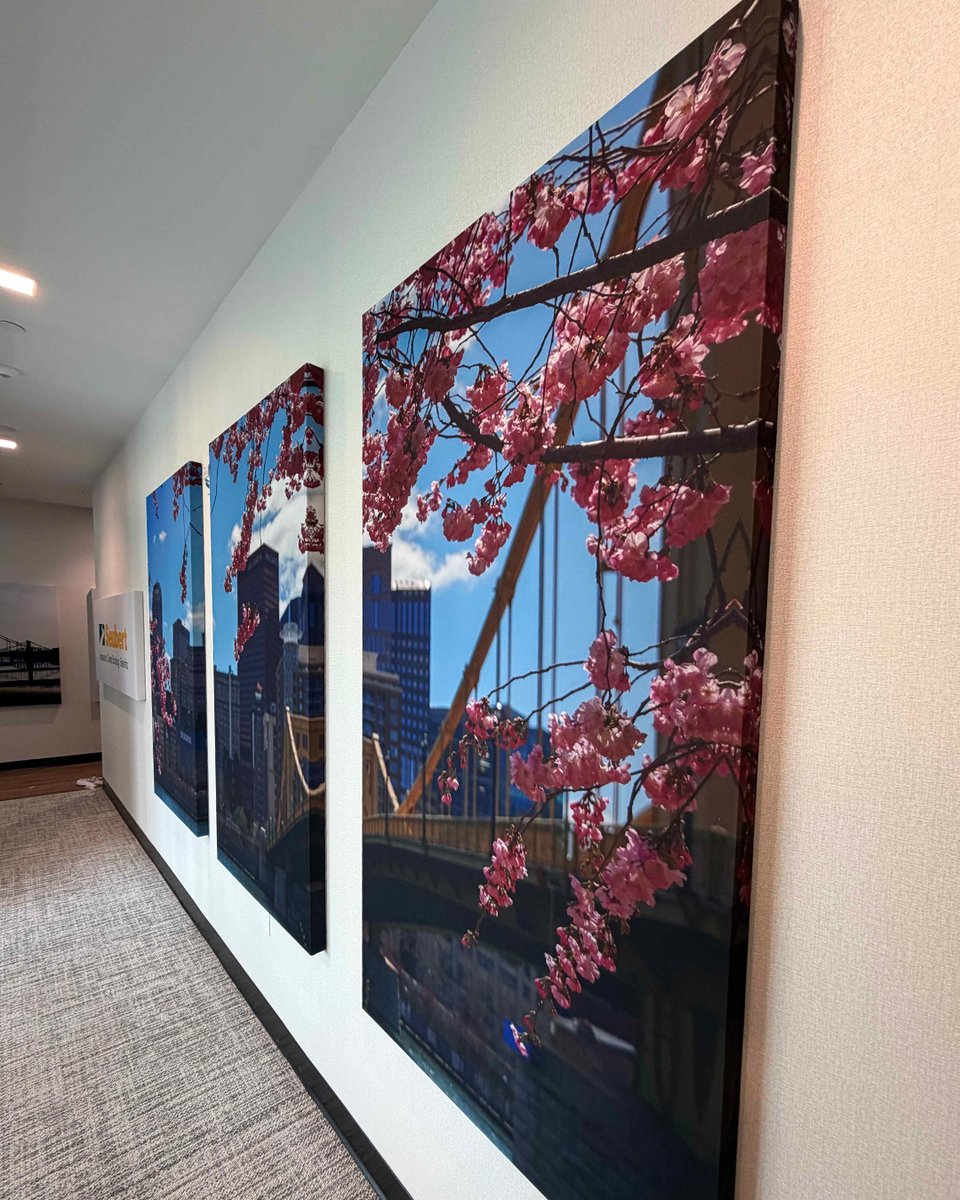 Oeler1's tweet photo. Improve your #acoustics and your aesthetics! These acoustic panels with custom-printed fabric provide less reverberation and more of a bold, branded look for Seubert &amp; Associates, Inc.

Find out how you can use custom-printed panels in your space: https://t.co/EymhjdQ9lY https://t.co/wYoVH01xTn