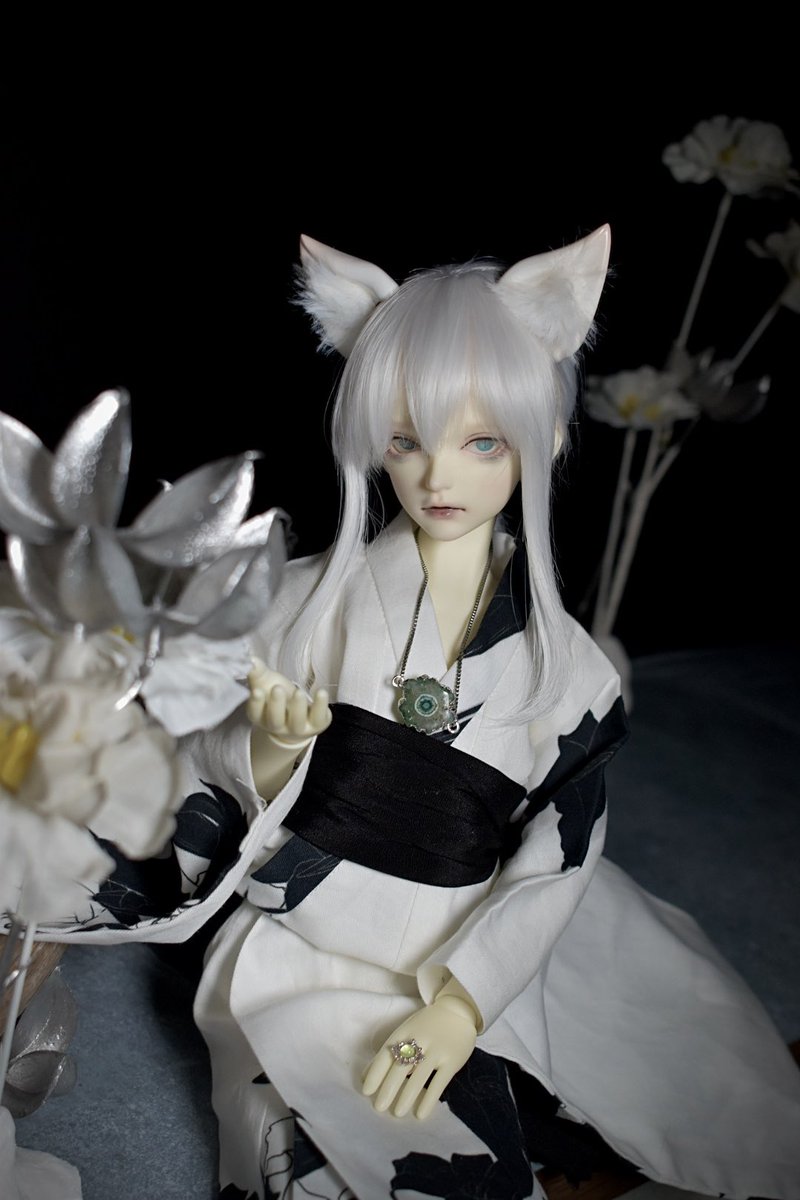 ichimaru_doll's tweet photo. 撮影スペースも何とか完成…？
ダークで和風に仕上げられたかな？
いい感じの流木はあったし、障子もなかなか良くできたし…
まだ進化するかもしれないけど完成できて良かった〜 https://t.co/PZqACPzfoI