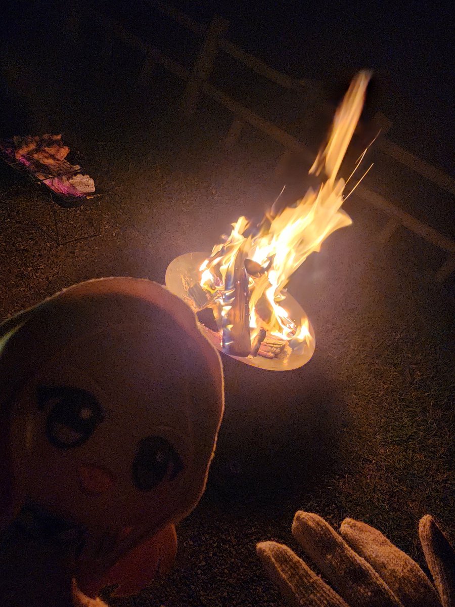 f25_infinity's tweet photo. キャンプだよせなちゃ
あと急に現れたニャルガクルガ
 #初星学園ぬいぬい部 https://t.co/qK9wyCnrJC