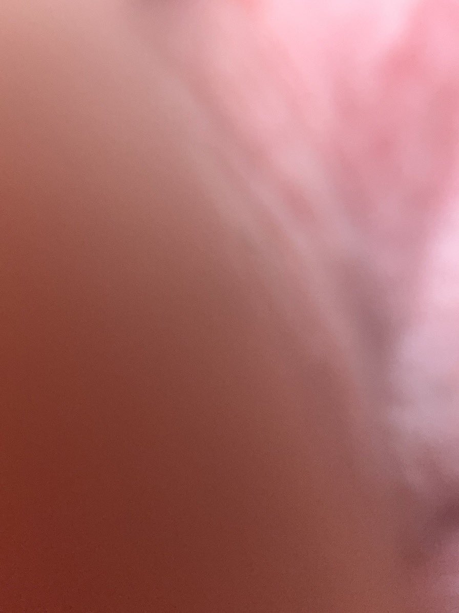 yeahthatsrosee's tweet photo. tfw you think you’ve gotten the most excellent picture of your coochie but it’s just and extreme close up of the  lower right quadrant lip/thigh median https://t.co/9tc8oLjuI7