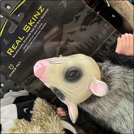 FixturesCloseUp's tweet photo. Real Skinz Squeaker Toy Lifelike Opossum Merchandising…
https://t.co/Fmoq93WX7H
@FixturesCloseUp #FixturesCloseUp #StoreFixtures #PointOfPurchase #POPs #PointOfPurchaseDisplays #POPDisplay @Lowes #Lowes @RealSkinz #RealSkinz #SqueakToy #Pets #PetToy #ChewToy #Opossum https://t.co/i5y1I3pjPH
