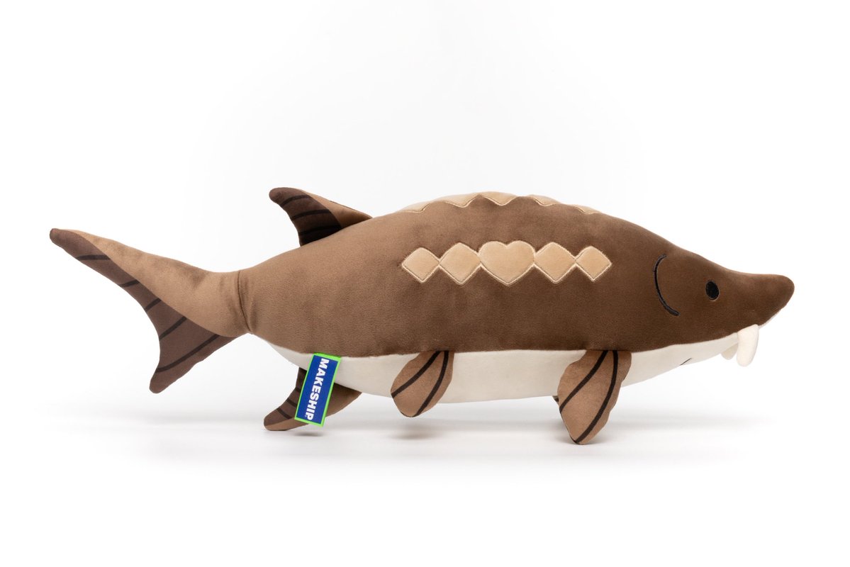 mysillycomics | Silly Sturgeon Plush tweet media