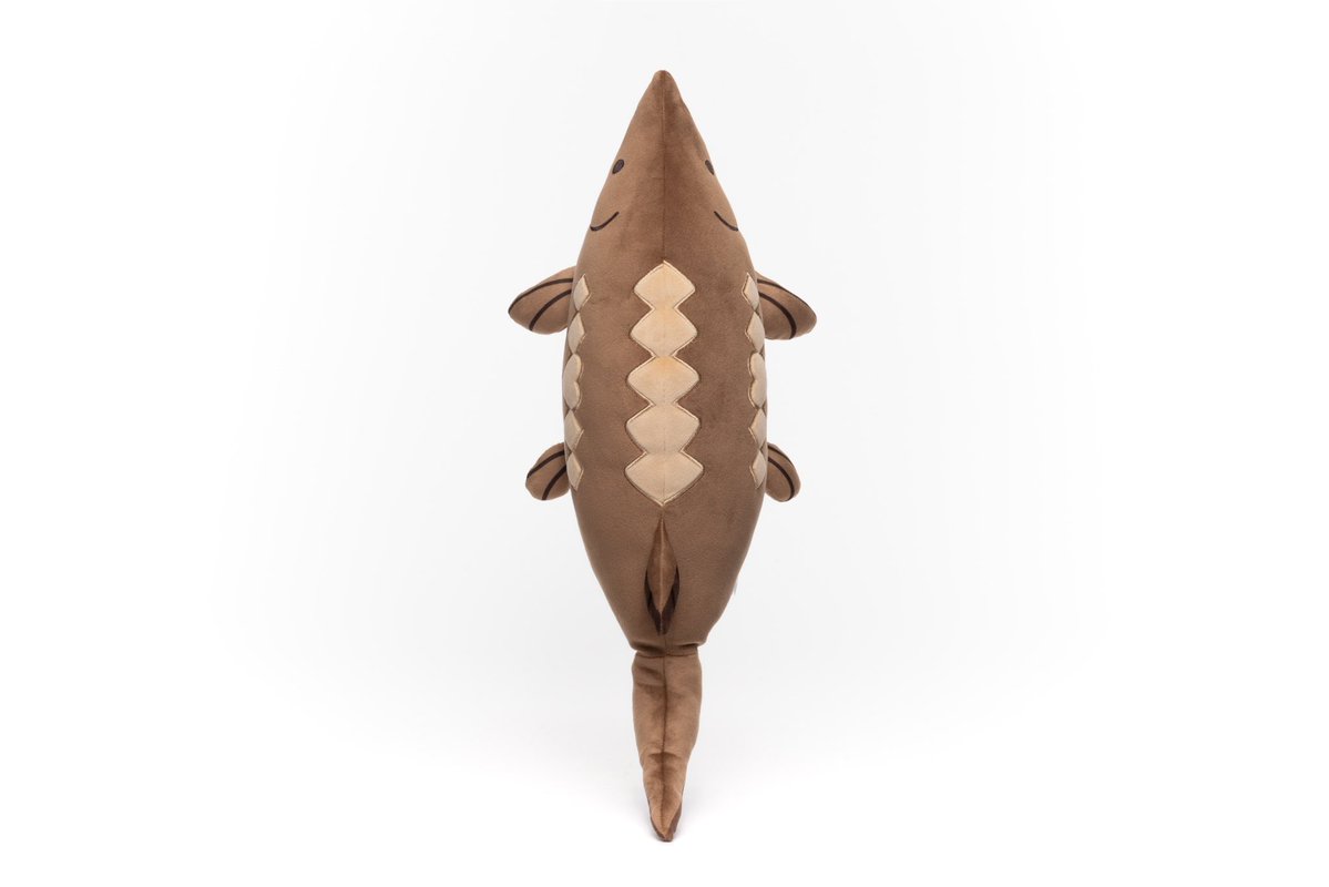 mysillycomics | Silly Sturgeon Plush tweet media
