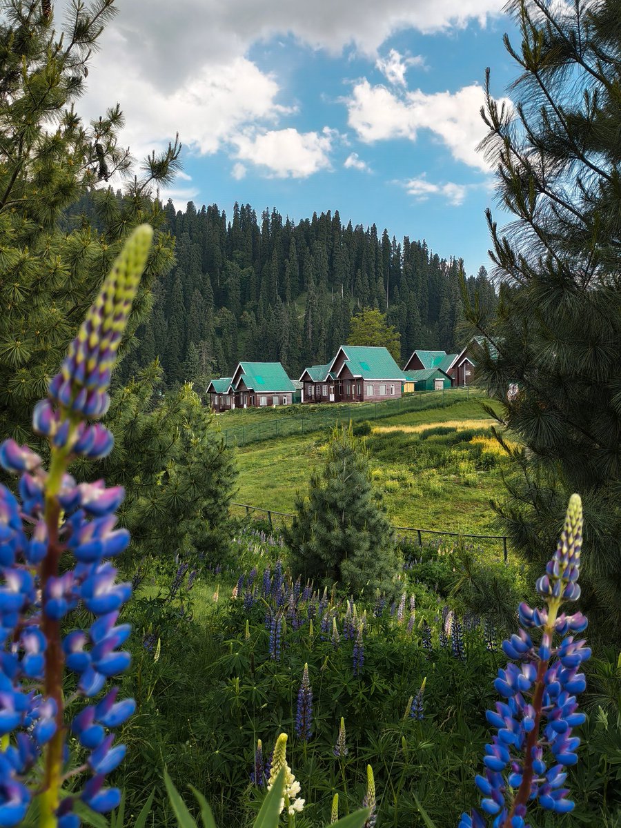 NikhilPai113938's tweet photo. Capturing the essence of Kashmir with @nothingindia Phone (4b)!
Powered by @Snapdragon
#withNothing #Phone4b https://t.co/PYj7y63k5Y