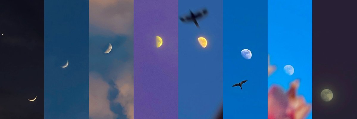 mansebanjaran's tweet photo. waxing moon cycle https://t.co/CpEbpsaSBL