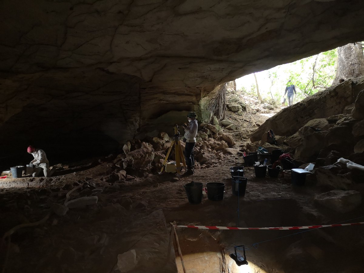 ICArEHB's tweet photo. ๐ A decade of #StoneAge research in #Mozambique. Eight #ICArEHB researchers co-author this open access study on early human occupation in southern Africa, published in the Journal of #PalaeolithicArchaeology.
๐ https://t.co/5T9821iNoN
#Archaeology #Africa #Prehistory https://t.co/3LQWwYXx4Q