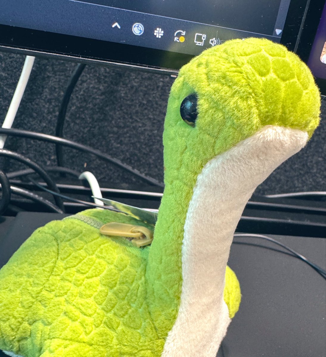 Red Spider tweet media