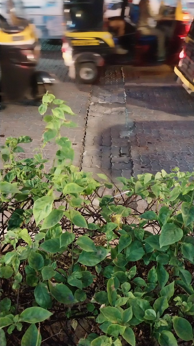 zoru75's tweet photo. Thank You for fixing these potholes/ sunken patches @mybmcWardHW https://t.co/Tbd54nWQ68