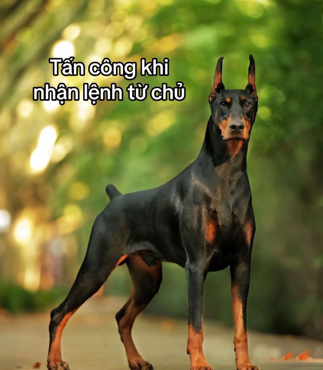 RyanAdamsblns's tweet photo. Cẩn thận nhé https://t.co/SStMRrxMHs