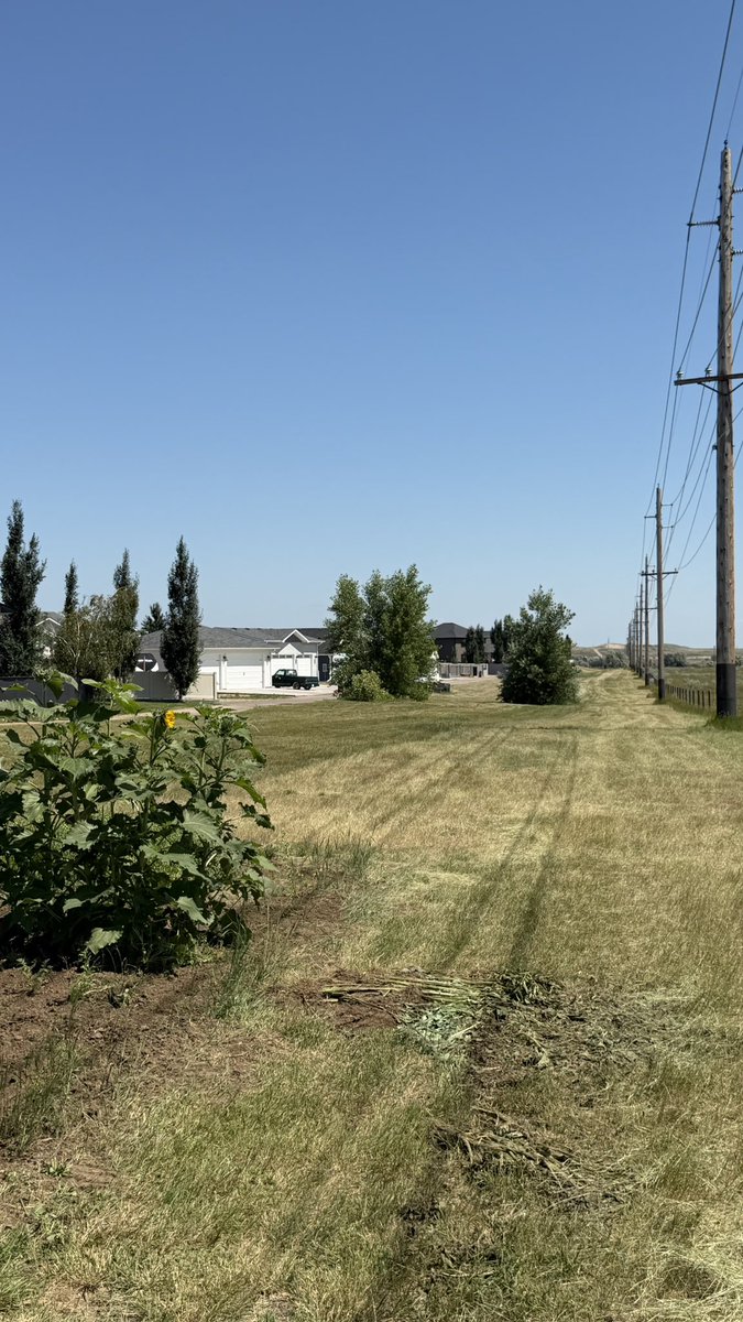 carolcrick2's tweet photo. Can’t have a garden because it’s free . @medicinehatcity making excuses that it impedes the power lines but look at those trees. Better take them out too.@MarcNixon24 @junonewscom @mario4thenorth @BertaProudDad @IFindCADRetards @IfindRetards https://t.co/hLpQIYLyen