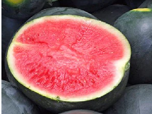 SAFarmersMarket's tweet photo. 🍑PEACHES 🌽Sweet Corn 🍅Produce 💐FLOWERS🍄Mushrooms 🥖Sourdough 🥩Beef, Chicken, PORK, eggs, BEEFALO🥤🍹Drinks 🍪COOKIES, 🥧Pies &amp; MORE! Fri 3-6pm - https://t.co/bIEXlYslKz https://t.co/wQh6BL20sp
