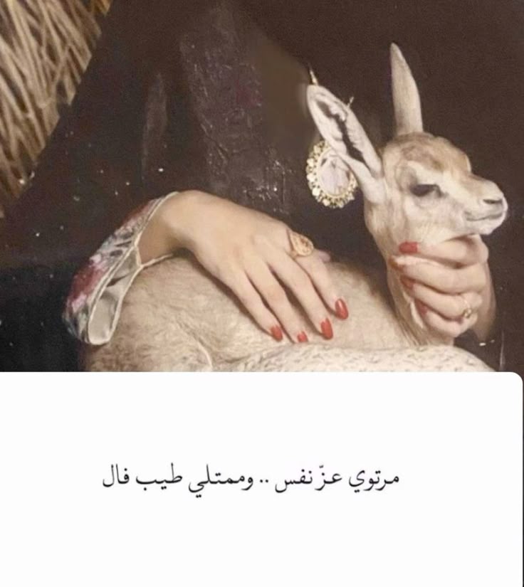 AbuSaoud0's tweet photo. https://t.co/4og6va6XH7