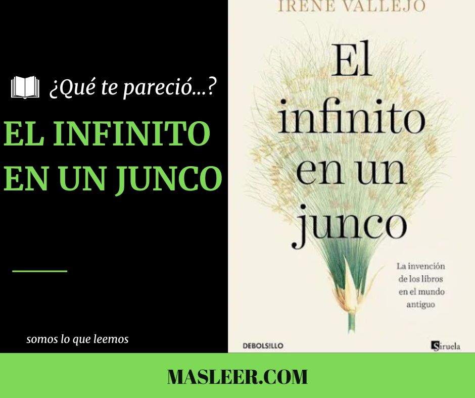 Más Leer tweet media