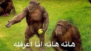 عبدالله tweet media