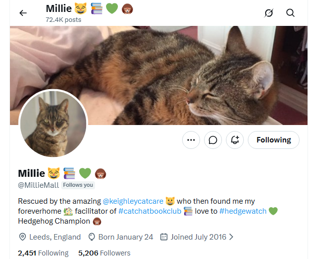 Hedgewatchers's tweet photo. Attention! Important message that the account of Millie has been hacked and is sending out DMs with links. Please DO NOT CLICK on the links, these messages are not coming from the rightful owner. We are in contact with Millies mum and try to sort this out. #Hedgewatch https://t.co/TMX3cWnLH1