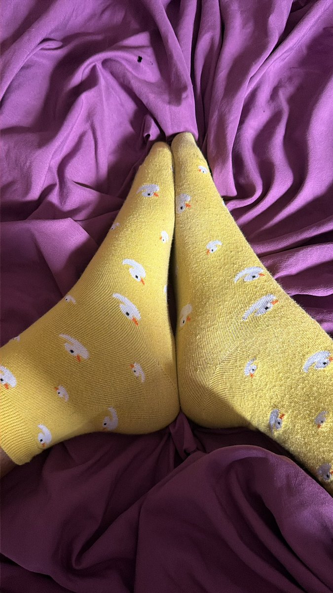 PrincessStacyBB's tweet photo. Make me take my socks off😘#footfetısh #feetfetısh #Feet https://t.co/CMegkej5GZ