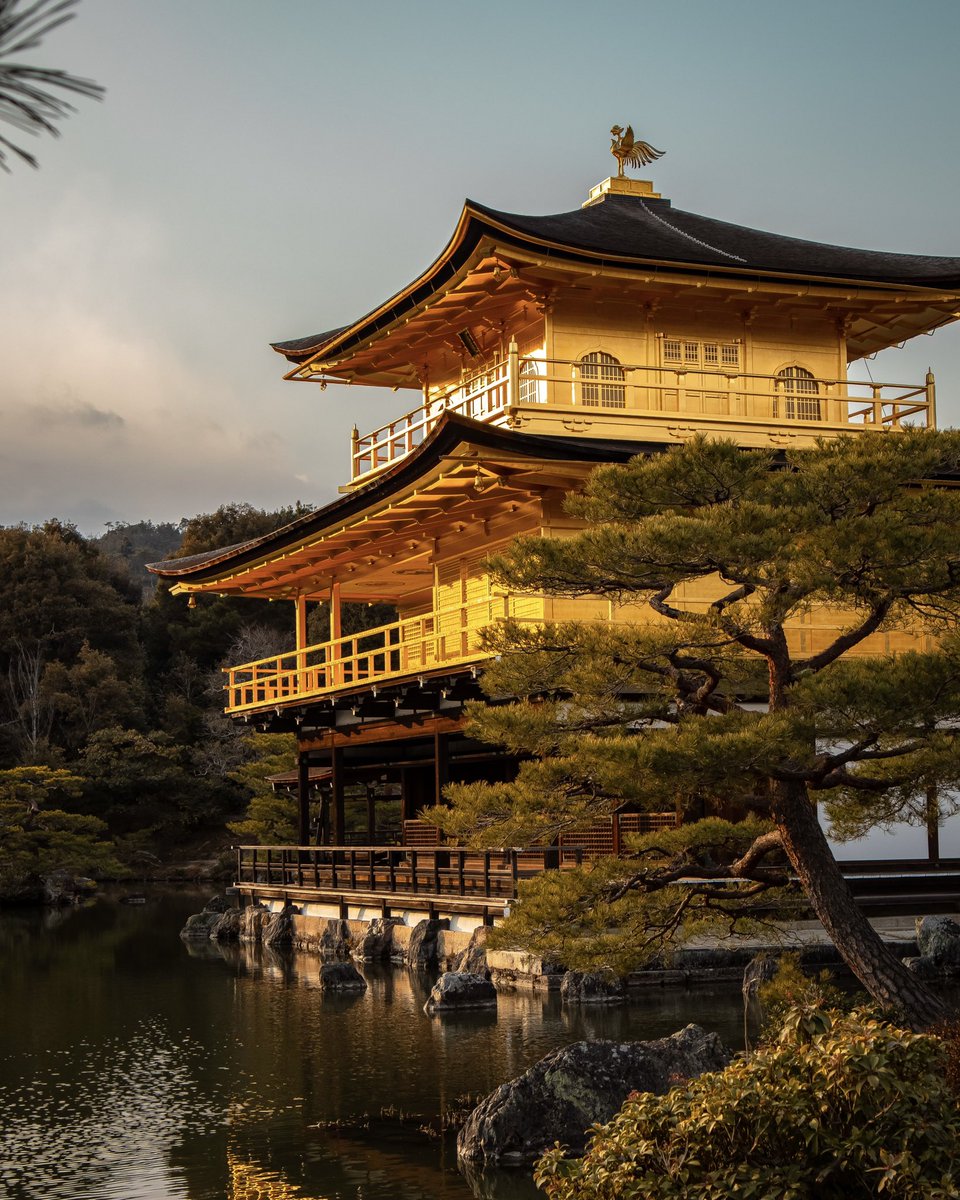 japanvistamedia's tweet photo. Kinkakuji, Kyoto, Japan. https://t.co/C0Eipahpra
