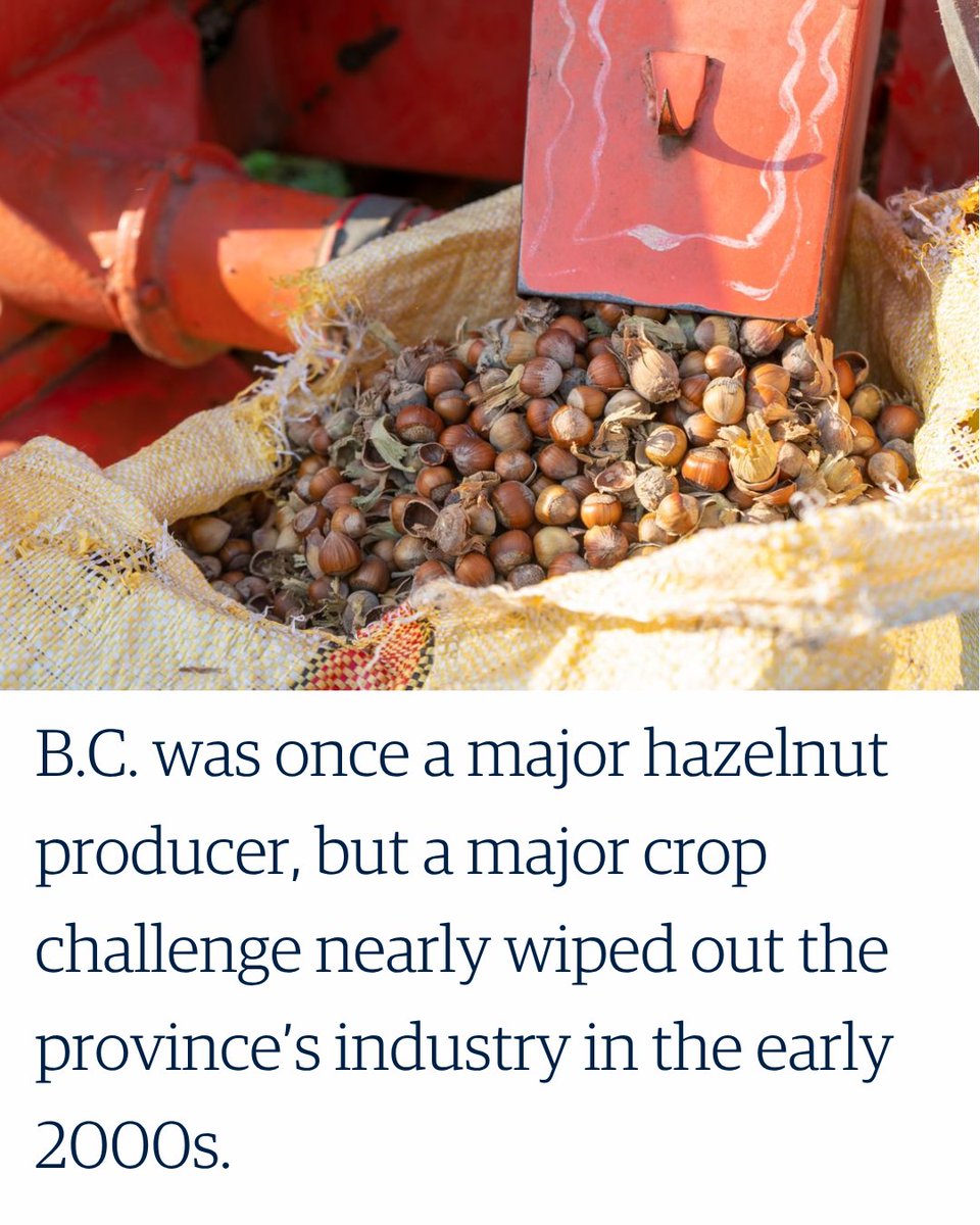 UBC Faculty of Land and Food Systems tweet media