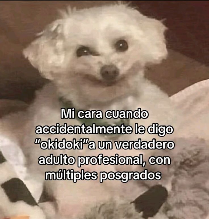 En Júpiter tweet media