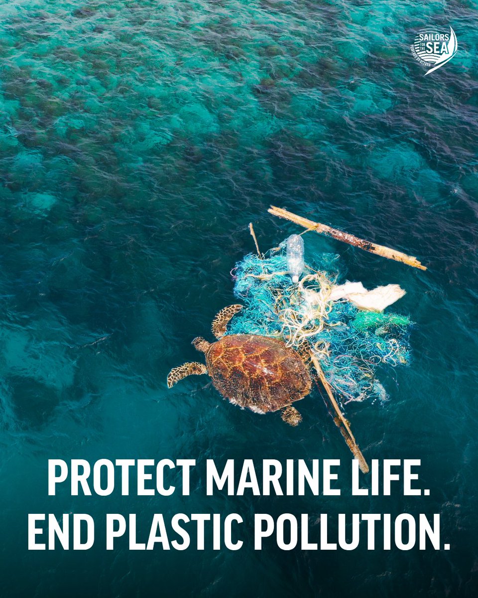 SailorsforSea's tweet photo. This #PlasticFreeJuly, speak up for marine life. 🗣️ 🦭

Every year, ~33 billion lbs of plastic enter our oceans, where marine animals can mistake it for food or become entangled in it.

Take action today and help keep our oceans full of life—not plastic: https://t.co/9TO4gQBCoN https://t.co/Qtf27Nbpfq