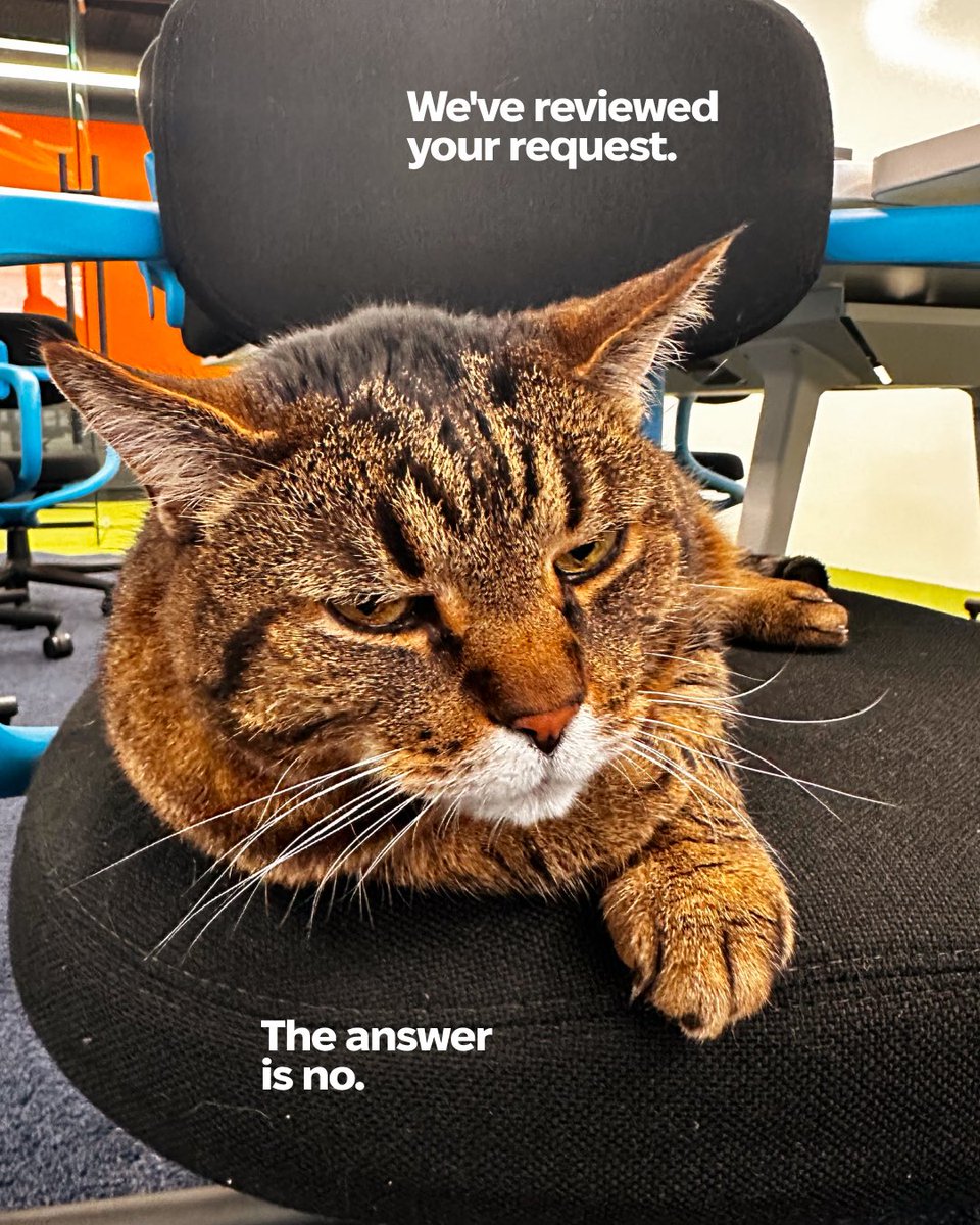 MacPaw 🇺🇦 tweet media