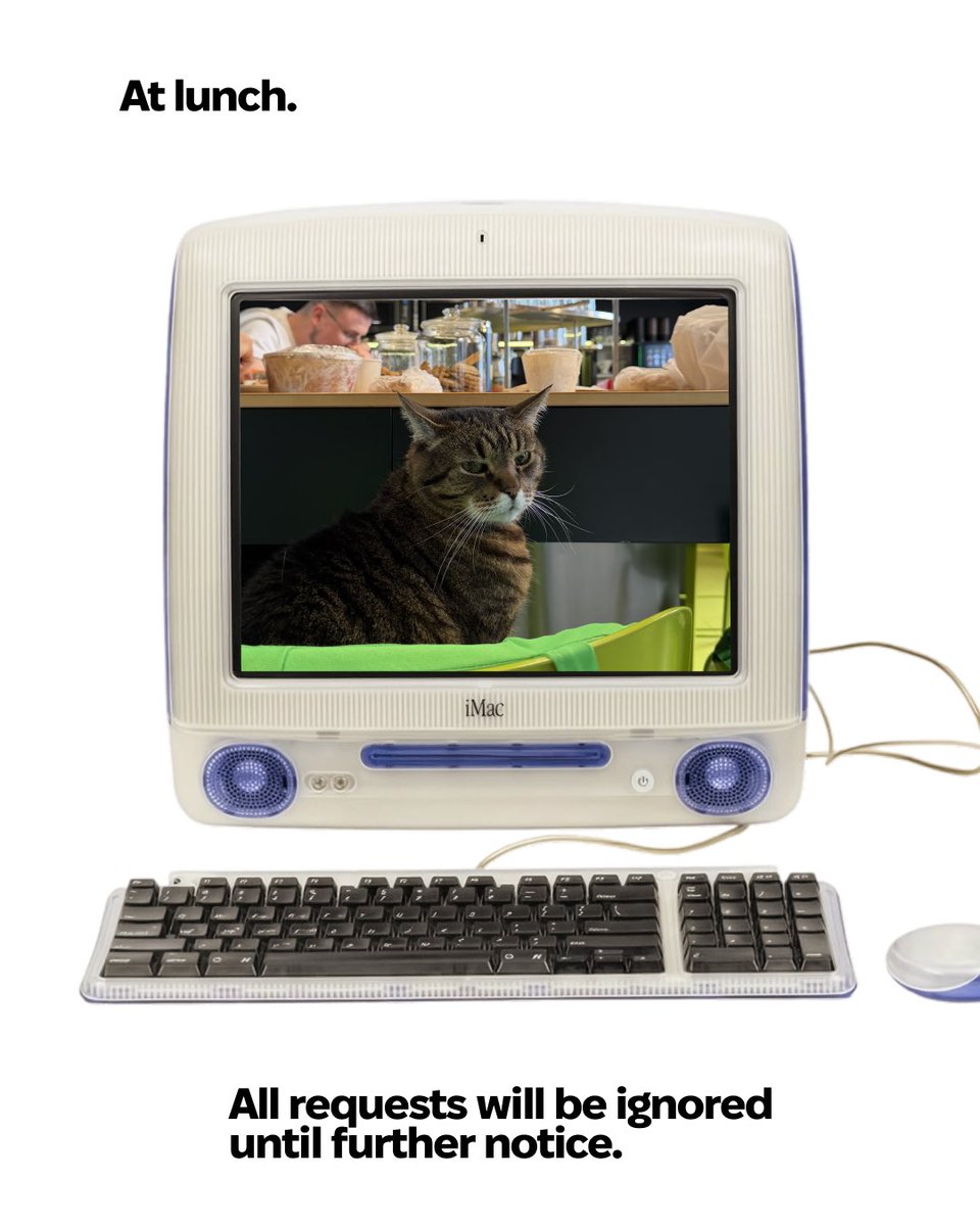 MacPaw 🇺🇦 tweet media