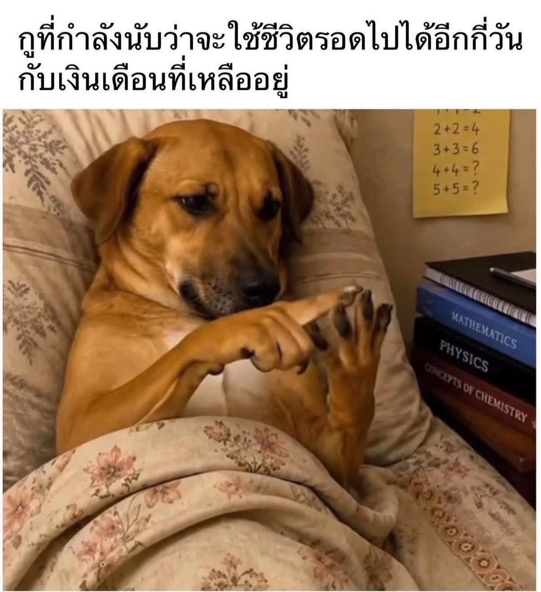 SABENZZ's tweet photo. รีวิวชีวิตกุตอนนี้ : https://t.co/wez4nYkebN