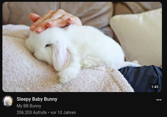 fluine_ton's tweet photo. @fluffygirlpaws same i get those types of videos all the time now https://t.co/PTu7Ypuq7r