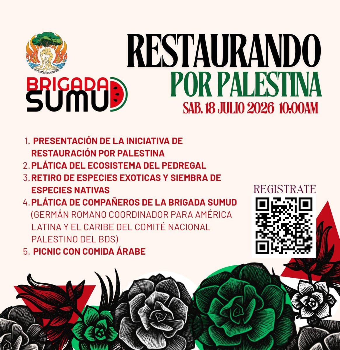 les_soll's tweet photo. 🌱🇵🇸 ¿Te sumas a restaurar la vida y a solidarizarte con Palestina?

Este sábado tendremos una jornada de restauración ecológica,🌿🍉

Creemos que la defensa de la naturaleza y la soberanía de los pueblos van de la mano.

¡Te esperamos! 💚 https://t.co/tFhCnL9RFi