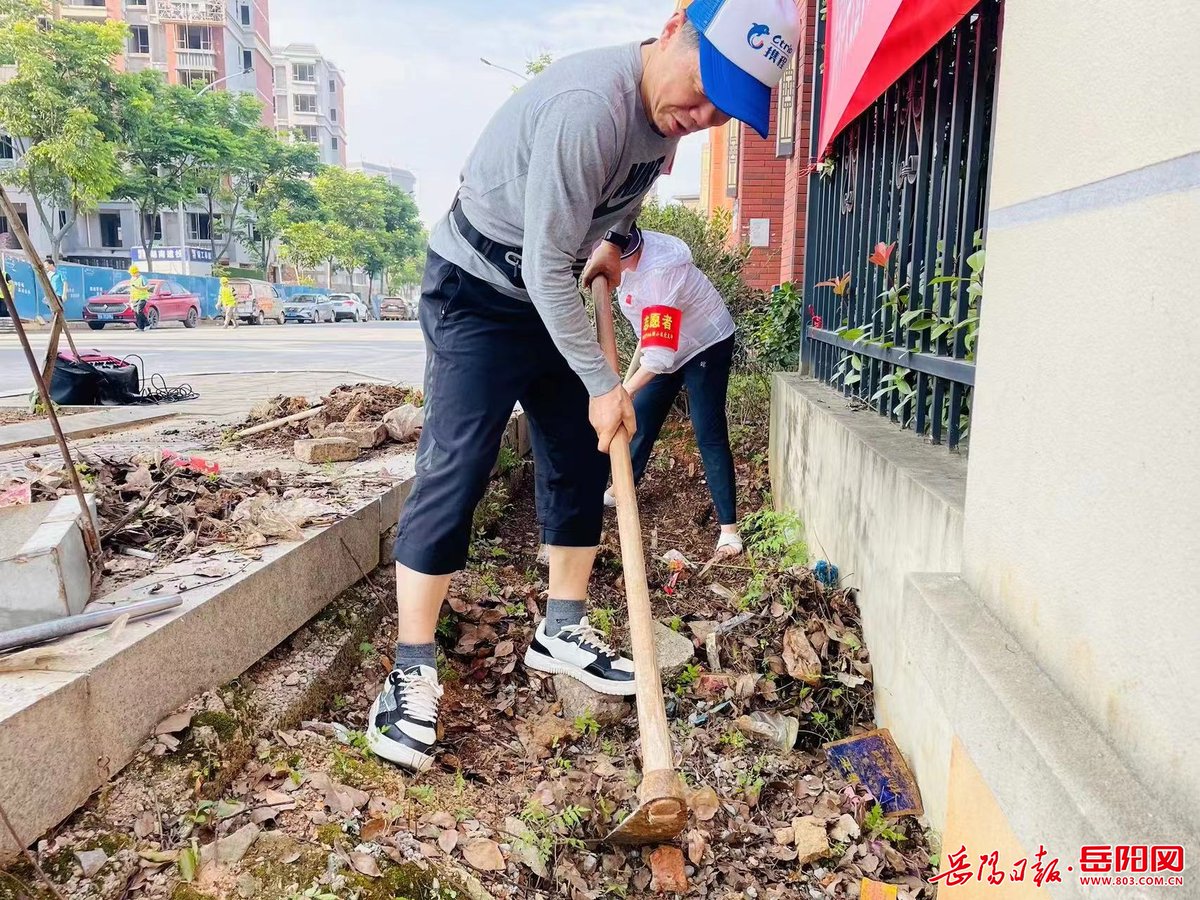 pkhtyt4ad's tweet photo. [ Community Cleanup this Sat (9am-12pm) at Central Park! Gloves, bags u0026 snacks provided. Let’s beautify our neighborhood together! Sign up: link in bio.]， https://t.co/zapnYpY84P