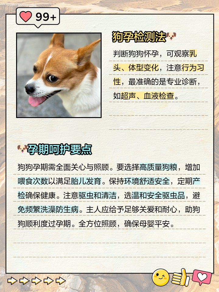 SongJaeJun0hl9's tweet photo. My little rescue pup just hit his 6-month milestone—he’s gone from a wobbly ball of fur that could barely climb steps to zooming around the park like he owns the place!  Such a sweet growth journey to cheer for.， https://t.co/Z1NZGyAudd