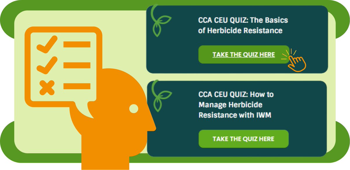 GetRidOfWeeds's tweet photo. Looking for CCA credits for pest management?

GROW webpages are now offering continuing education units (CEU) for certified crop advisors. Two quizzes on herbicide resistance management are available now, with more coming this fall!

Learn more here: https://t.co/d9ucyCoqmo

#growiwm #integratedweedmanagement #farming #agriculture #pestmanagementcredits #CEUs #CCACEUs