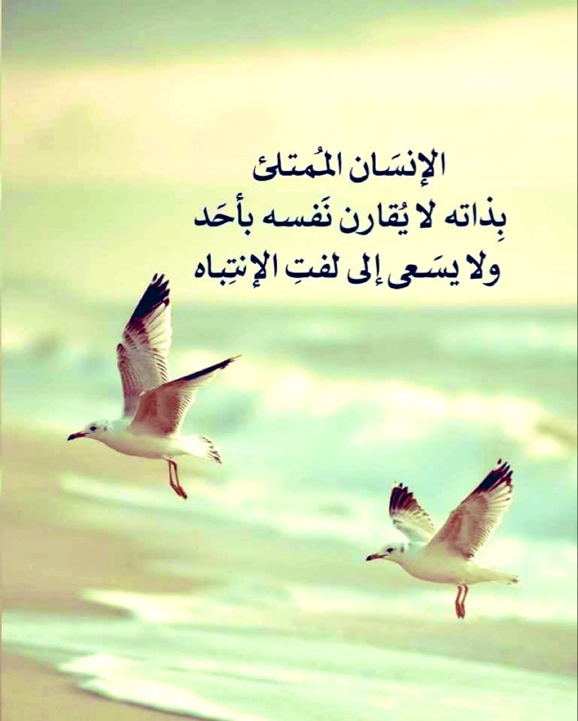 omhazem1956's tweet photo. من وثق بنفسه لا يحتاج الى مدح الناس إياه .. 
و من طلب الثناء فقد دلّ على ارتيابه في قيمة نفسه ..!
. https://t.co/au5ZPGuKqT