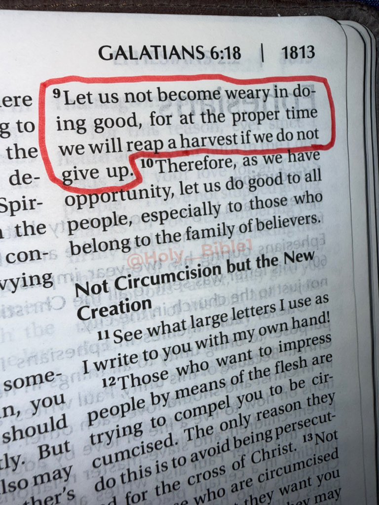 Holy Bible tweet media