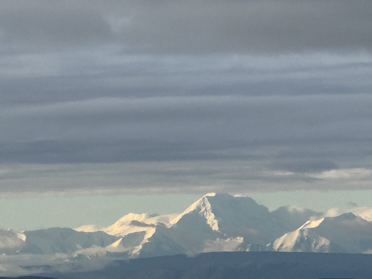 907sharon's tweet photo. Day 1 Thursday 50 Fairbanks cloudy ⛅️ week 24 of 2026. Meetings and tribal leadership meets   Prayers going out to our communities with love 🙏🏽. Love jogs with puppies, and beautiful wind. #coachbennett #nikerunclub https://t.co/AMgWmpOq8I